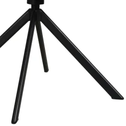 Draaibare Eetkamerstoel Bjorna Beige