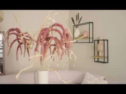 Eetkamer Hoekbank Bjorna Roze - 270x170 cm