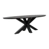 Eettafel Viborg Zwart - 240x110 cm