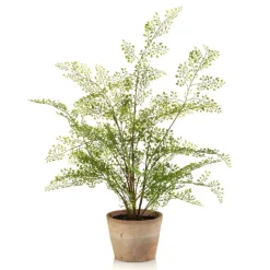 Kunstplant Adianthum Fern Groen - 65 cm hoog