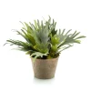 Kunstplant Staghorn Fern Groen - 35 cm hoog