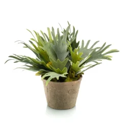 Kunstplant Staghorn Fern Groen - 35 cm hoog