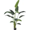 Kunstplant Strelitzia Groen - 230  cm hoog