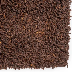 Vloerkleed Berbero Lungo Bruin - 200x300 cm